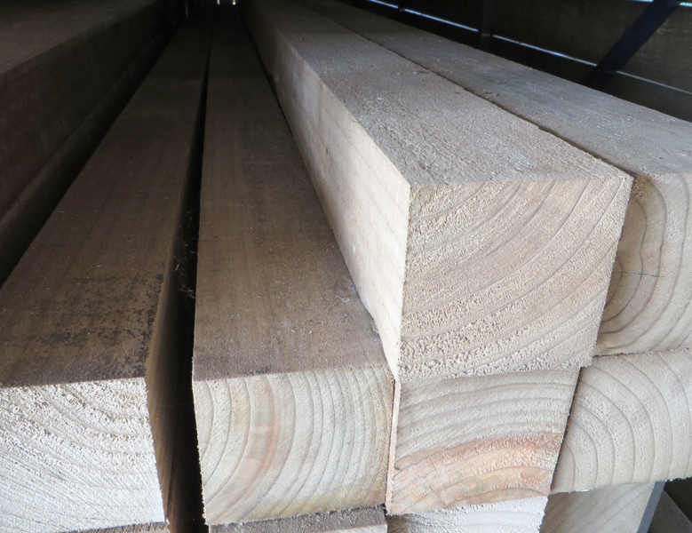 Treated Pine Rough Sawn Wet 100×100
