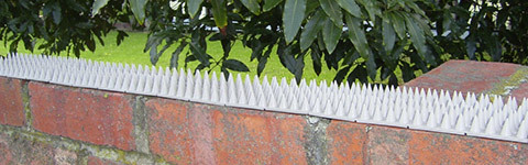 Thorny Devil Fence Flat Capping Spikes qty24 Deter Intruders / Animals