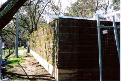 Melaleuca Brush Fence Panel 1800mm x 1800mm x 30mm (Heavy Duty)