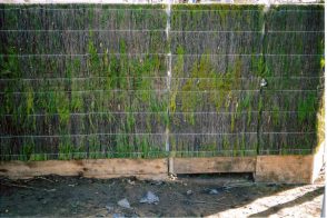 Melaleuca Brush Fence Panel 1800mm x 1800mm x 30mm (Heavy Duty)