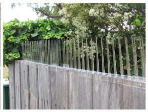 Thorny Devil Possum Spikes Fence Capping 500mm x 175mm high