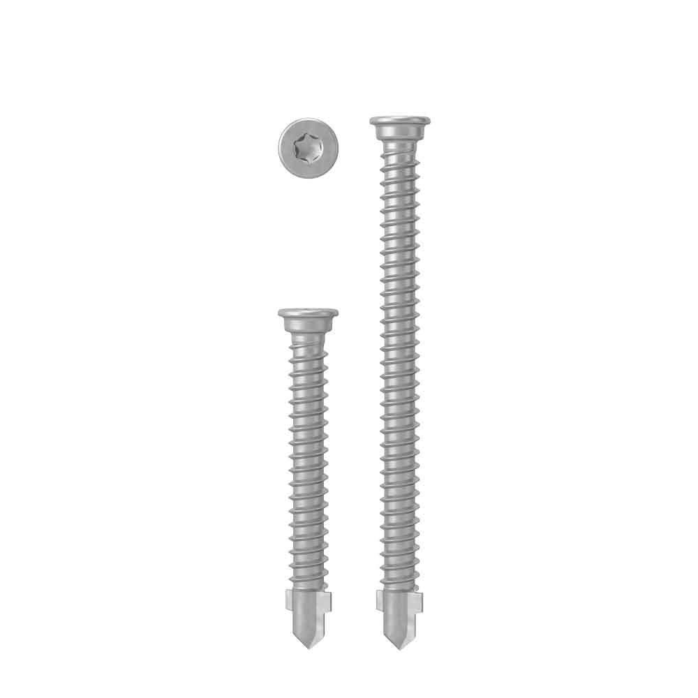 AnchorMark 316 SS Deck Screw 5.5mm Timber to Aluminium QTY 100