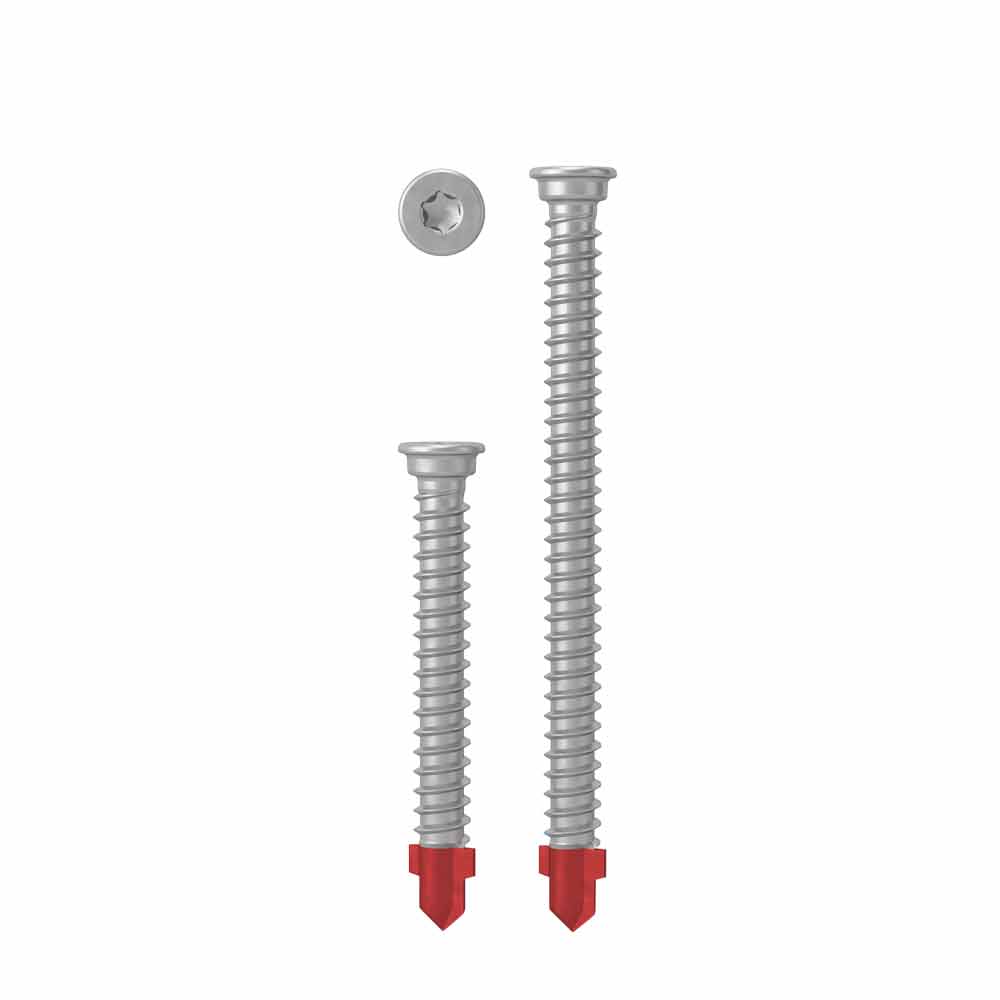 AnchorMark 316 SS Deck Screw 5.5x45mm Timber to Metal
